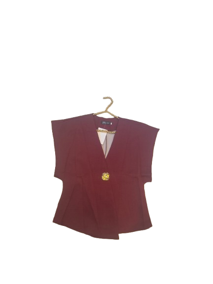 elegant v-neckline top with a prominent decorative gold/jeweled single button in different colors