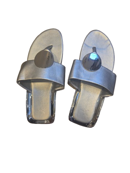 elegant silver footwear slippers in different size and colors