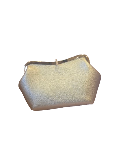 classic unique handbag/purse shinny beige colour