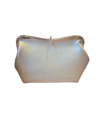 classic unique handbag/purse silver colour